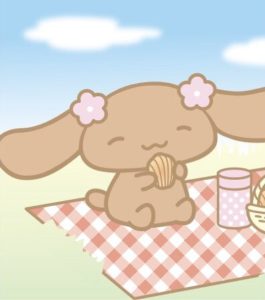 Cinnamoroll PFPs