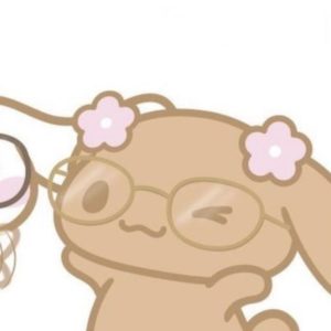 Cinnamoroll PFPs